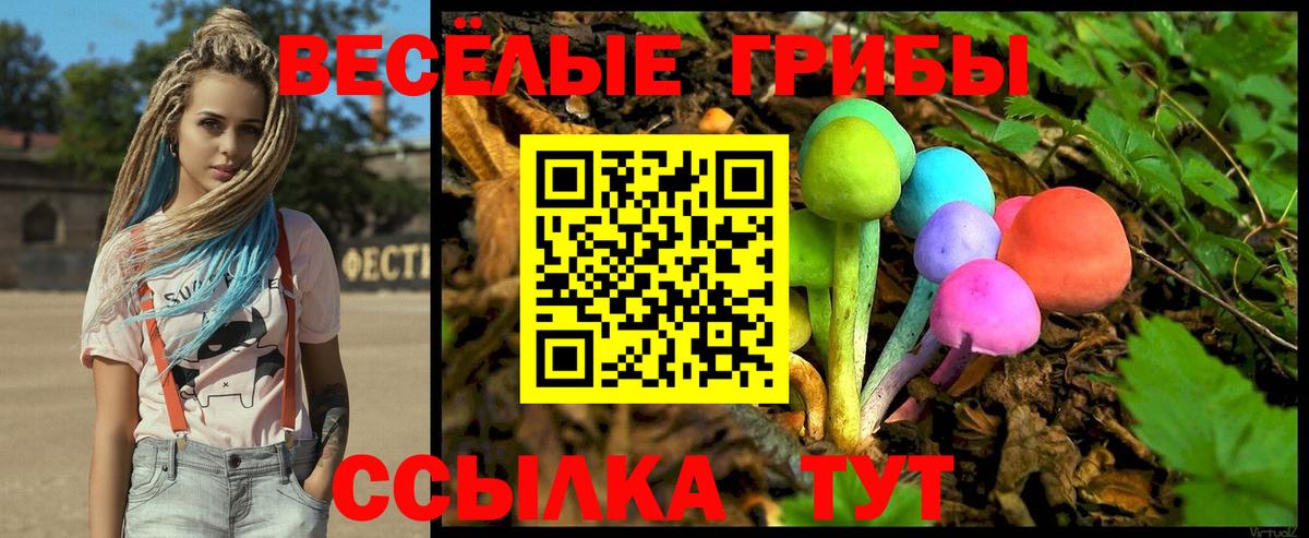 Богданович  Галлюциногенные грибы GOLDEN TEACHER  Вход с VPN  Галлюциногенные грибы ЛСД 