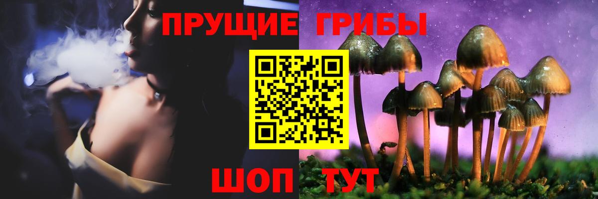 Псилоцибиновые грибы ЛСД Богданович