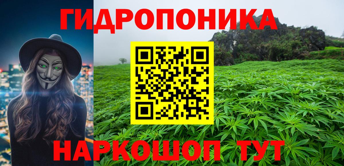 Шишки марихуана планчик Богданович